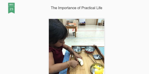 The Importance of Practical Life